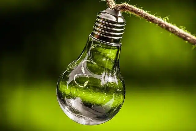 fournisseurs d'énergie électricité verte
